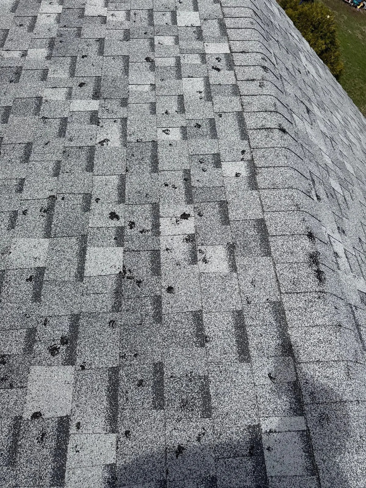 Close-up of hail impact marks on an asphalt shingle roof in Austin after a spring storm